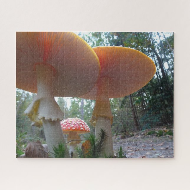 Landschaftsrätsel: Amanitas fliegen im Wald Puzzle (Horizontal)