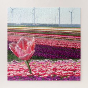 Landschaftsrätsel: Lila Tulipenfeld rosa Puzzle