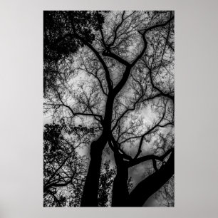 Landschaftsschwarzweiss-Baum-Foto Poster
