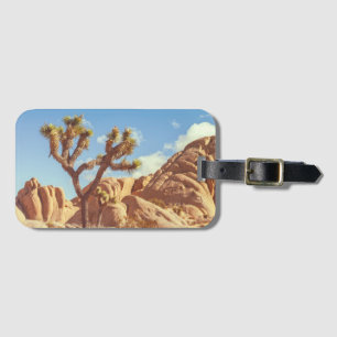 Landschaftsszene des Joshua-Trees-Nationalparks Gepäckanhänger