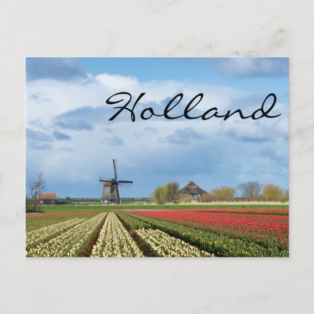 Landschaftstext für Windmühle und Tulpen Postkarte (Vorderseite)