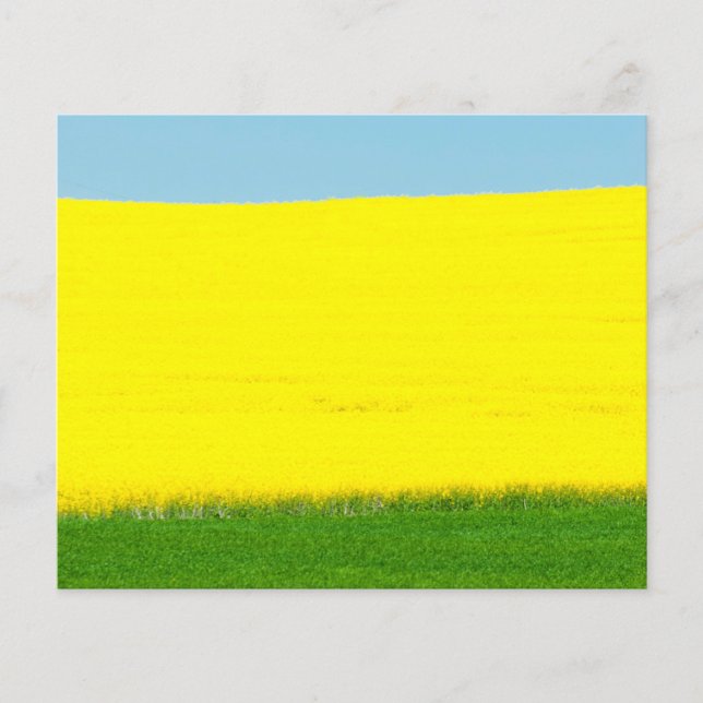 Landschaftswiese Flyer (Vorne)