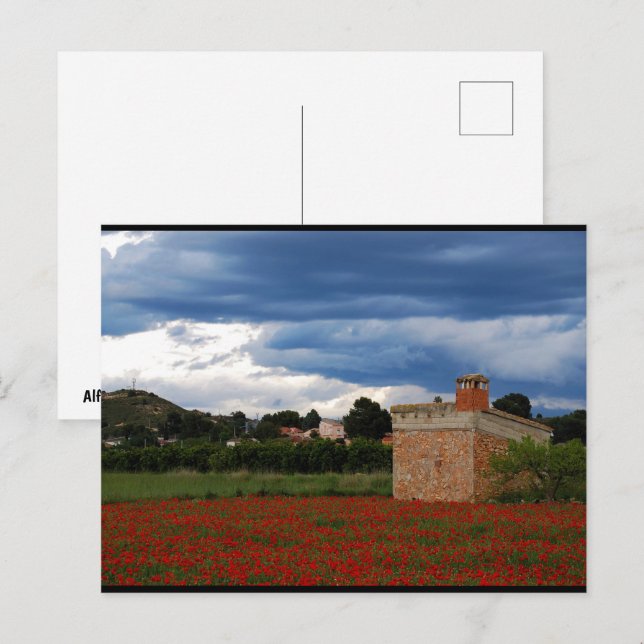Landscheune im Mohnfeld Postkarte (Vorne/Hinten)