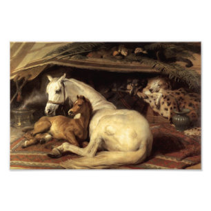 Landseer, das arabische Zelt Fotodruck
