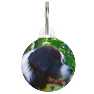 Landseer-Hund. Haustiermarke