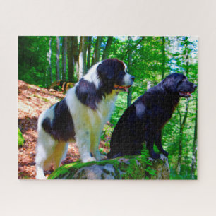 Landseer Hund. Puzzle