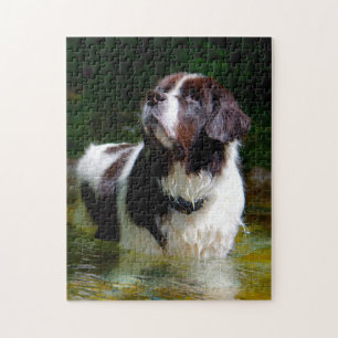 Landseer Hund. Puzzle