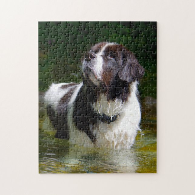 Landseer Hund. Puzzle (Vertikal)