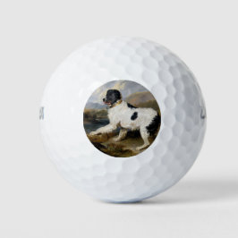Landseer Neufundland Hund (Schwarzes und Weißes Ti Golfball