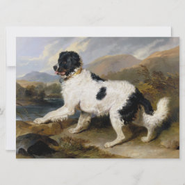 Landseer Neufundland Hund (Schwarzes und Weißes Ti Karte