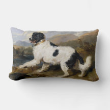 Landseer Neufundland Hund (Schwarzes und Weißes Ti