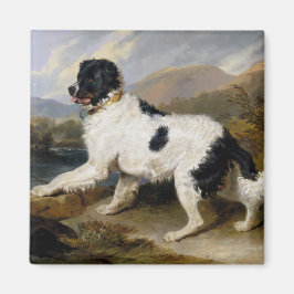 Landseer Neufundland Hund (Schwarzes und Weißes Ti Magnet