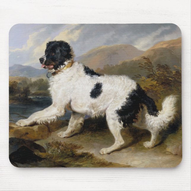 Landseer Neufundland Hund (Schwarzes und Weißes Ti Mousepad (Vorne)