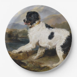 Landseer Neufundland Hund (Schwarzes und Weißes Ti Pappteller