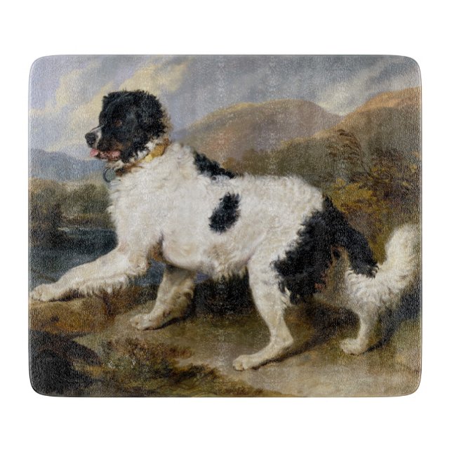 Landseer Neufundland Hund (Schwarzes und Weißes Ti Schneidebrett (Vorderseite)