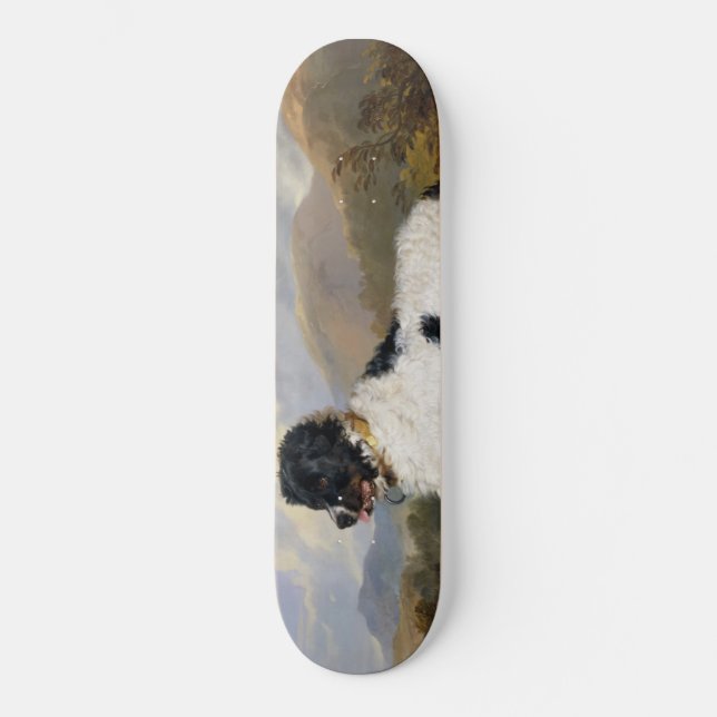 Landseer Neufundland Hund (Schwarzes und Weißes Ti Skateboard (Vorderseite)