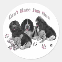 LANDSEER NEWFOUNDLAND CAN'T HAVE JUST ONE