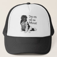 Landseer NewfoundlandPrincess