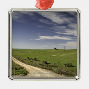 Landstraße, die zwischen Weizenfeldern twining Silbernes Ornament