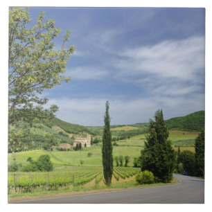 Landstraße, die zwischen Zypressenbäumen in Fliese