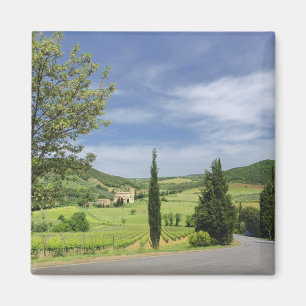 Landstraße, die zwischen Zypressenbäumen in Magnet