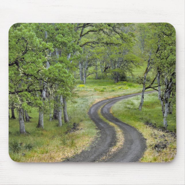 Landstraße durch Bäume, Oregon Mousepad (Vorne)