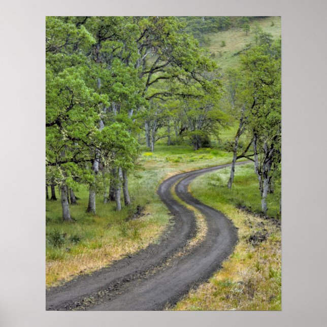 Landstraße durch Bäume, Oregon Poster (Vorne)