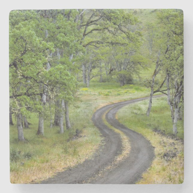 Landstraße durch Bäume, Oregon Steinuntersetzer (Vorderseite)