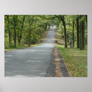 Landstraße durch die Bäume Wall Kunst. Poster