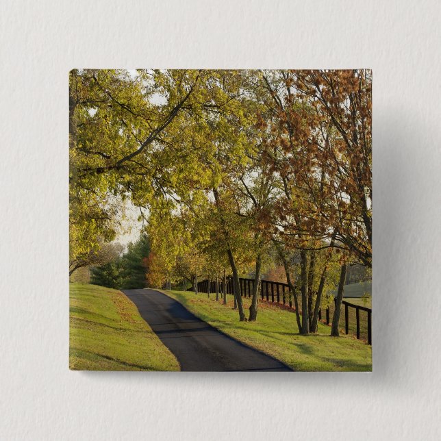 Landstraße durch die Region Bluegrass Kentucky 2 Button (Vorderseite)