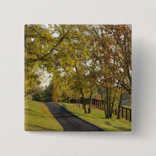 Landstraße durch die Region Bluegrass Kentucky 2 Button