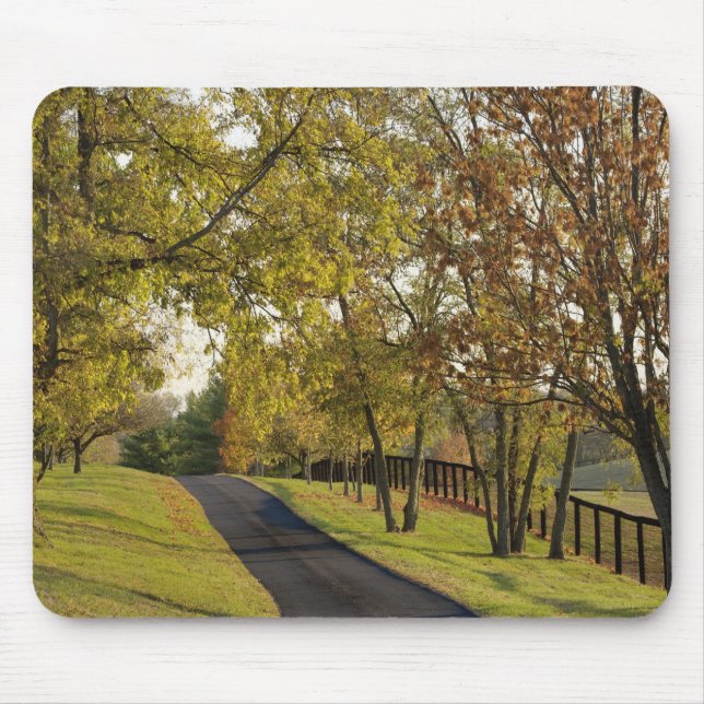 Landstraße durch die Region Bluegrass Kentucky 2 Mousepad (Vorne)