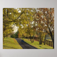 Landstraße durch die Region Bluegrass Kentucky 2