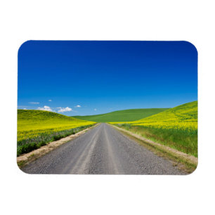 Landstraße durch Frühjahrs-Rapsfelder Magnet