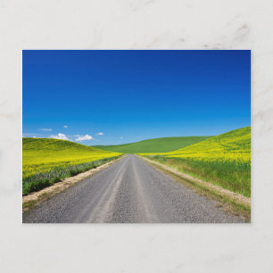 Landstraße durch Frühjahrsrapsfelder Postkarte
