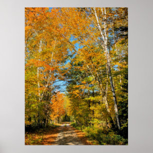 Landstrasse Herbstfarben New Hampshire Poster