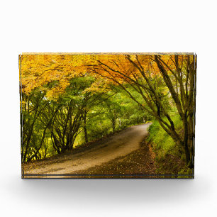 Landstraße im Herbst Fotoblock