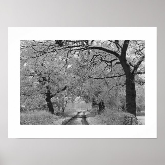 Landstraße im Winter: Cheshire, England Poster (Vorne)