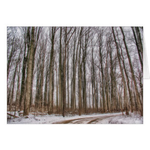 Landstraße in schneebedeckte Wälder