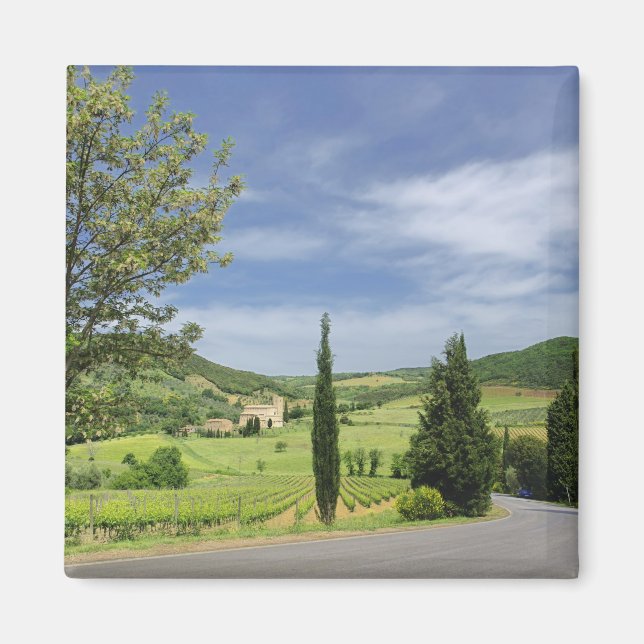 Landstrasse zwischen Zypressen in Magnet (Vorne)