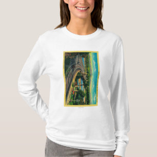 Landstraßen-Brücke über Santa Ana River T-Shirt