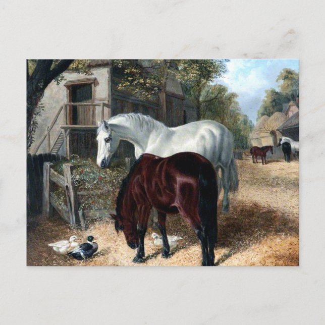 Landszene mit Pferden Postkarte (Vorderseite)