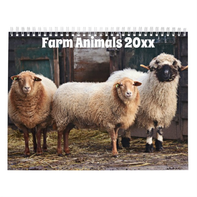 Landtiere Kalender (Titelbild)