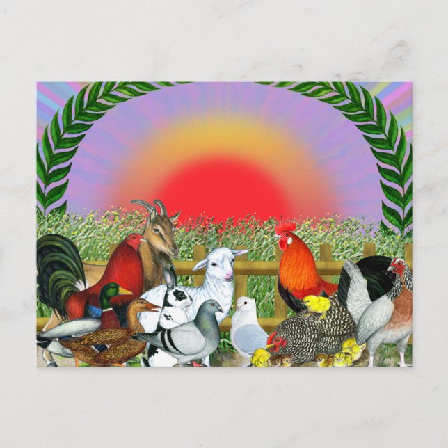 Landtiere Postkarte (Vorderseite)