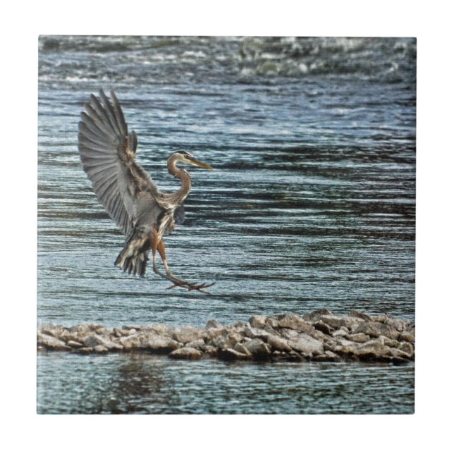 Landung Great Blue Heron Wildlife Birdlover Design Fliese (Vorderseite)