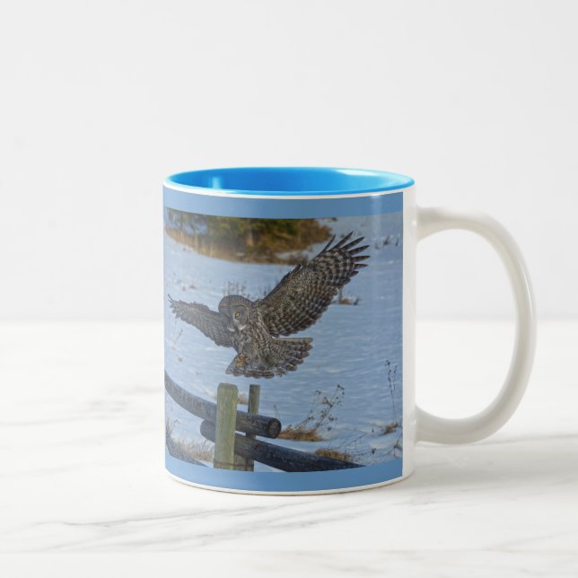 Landung großer grauer Schüssel und Schnee Wildtier Zweifarbige Tasse (Rechts)