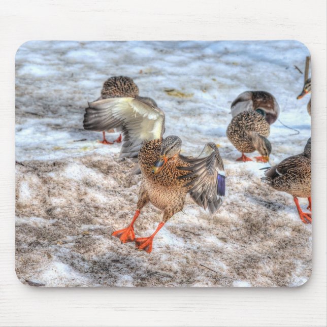 Landung Mallard Duck Birdlover Wildnis Mousepad (Vorne)