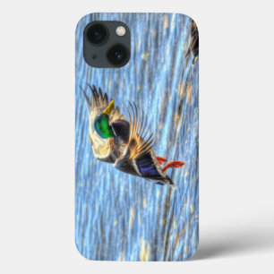 Landung Mallard Duck Drake 5 Wildlife Foto Case-Mate iPhone Hülle