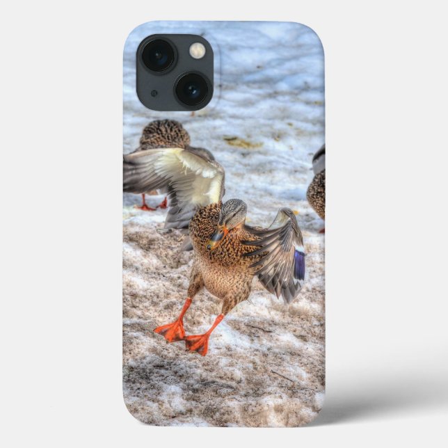 Landung Mallard Duck Wildlife Foto Case-Mate iPhone Hülle (Rückseite)