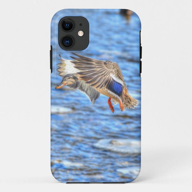 Landung Mallard Duck Wildlife Foto Case-Mate iPhone Hülle (Rückseite)